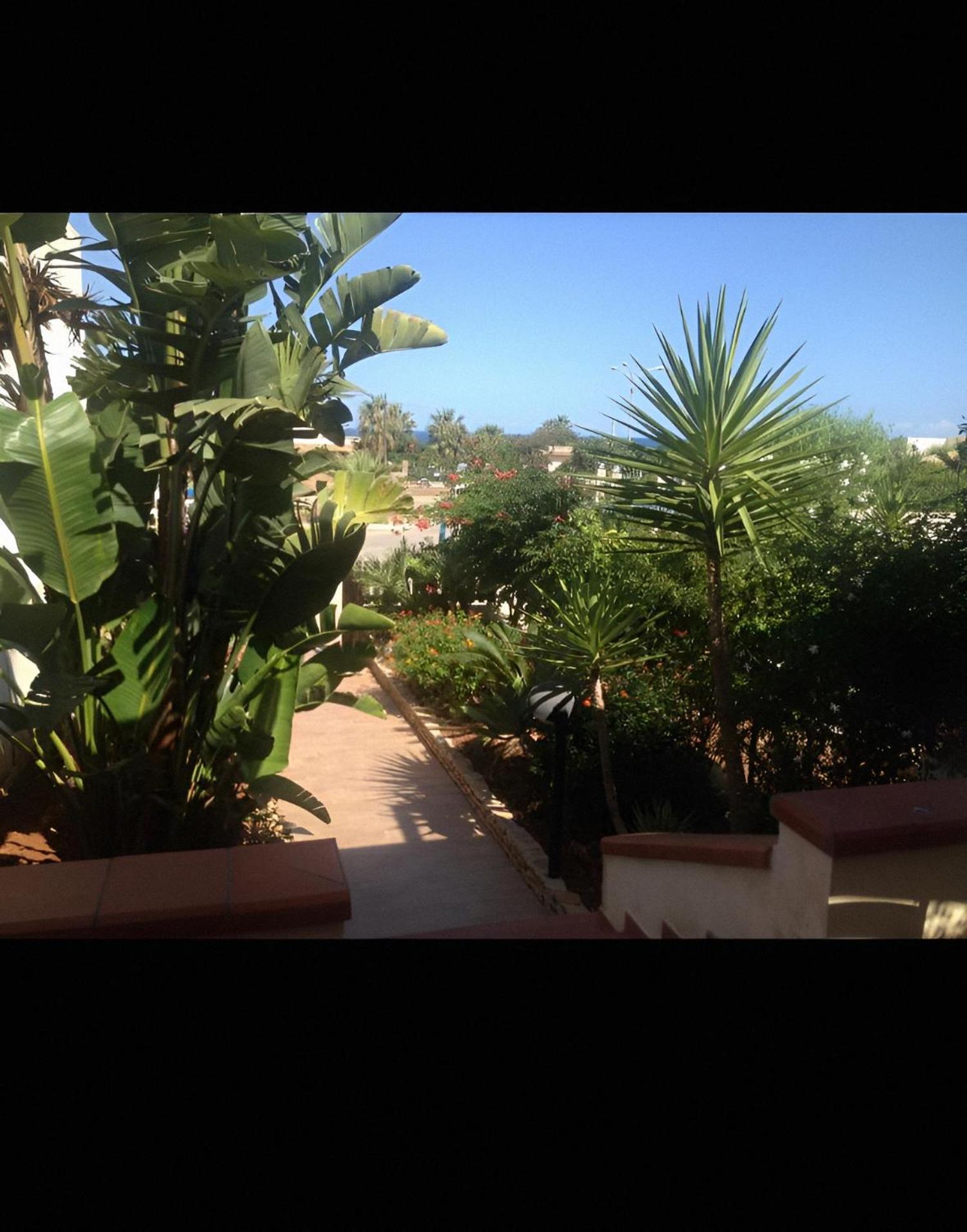 Le Palme Villa San Vito Lo Capo Eksteriør bilde
